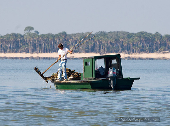 Oysterman