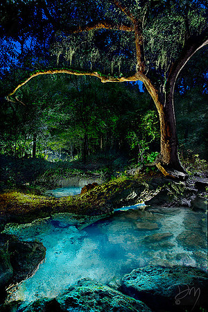 Oasis_in_Dark