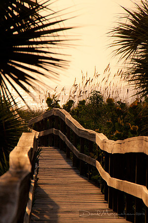 Boardwalk_Sepia_Sunrise