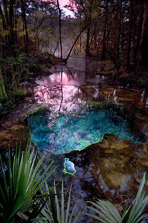 Mystic Spring Dawn