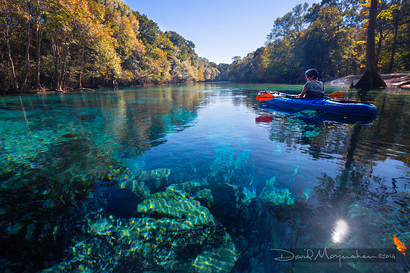 Crystal_Waters