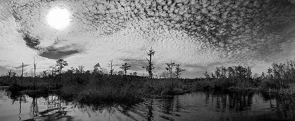 Mackeral Sky Pano B&W