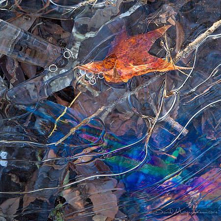 Trapped_in_Ice