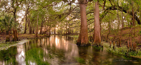 Spring Run Light