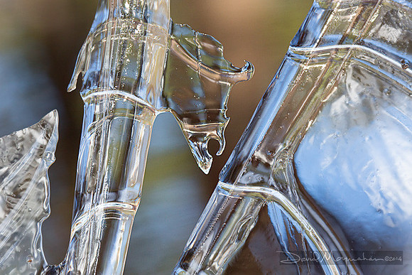 Ice_Dragon