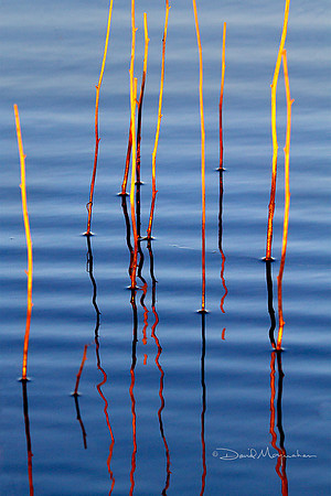 Sticks N Waves