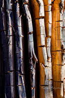 Dead Tree Art