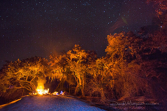 Camping_Under_Stars