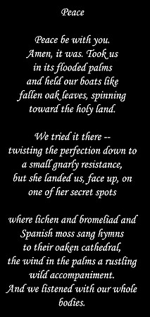 Peace by Crystal Wakoa