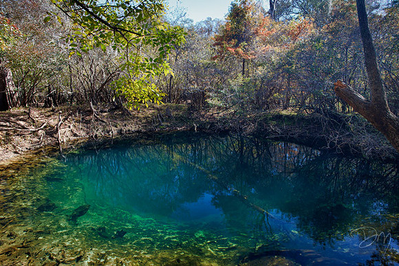 Potter Spring