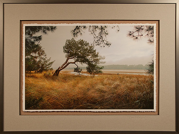 Leaning Into Marsh - Framed