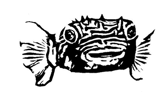 Oil Blot Burrfish