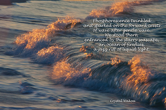 Unspoiled  Wave