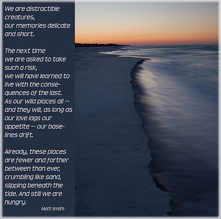 Unspoiled Waterline