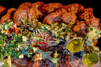 Smorgasbord