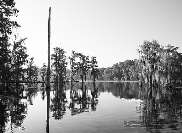 Mill Pond Black & White