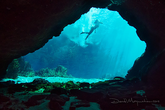 Swimming at Jackson Blue