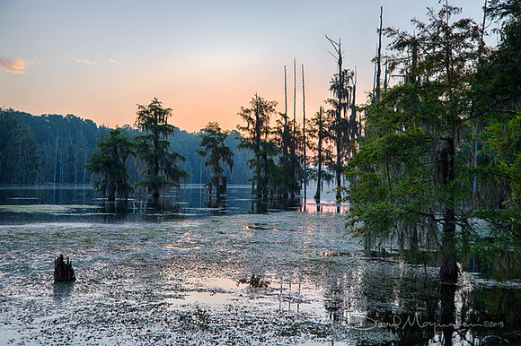 Mill Pond Sunrise