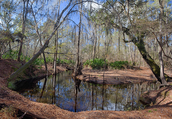 Roline_Creek_2