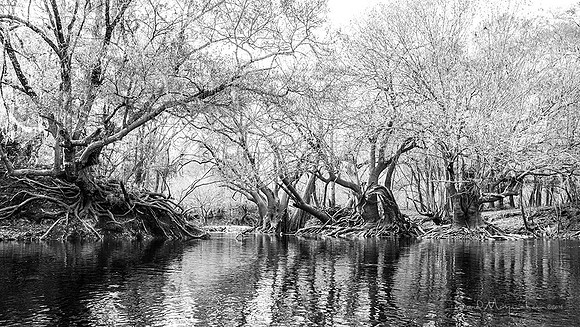 Tupelo_Pano