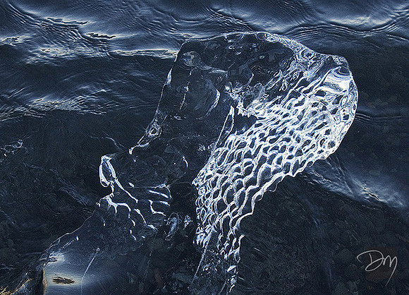 Old Ice Dying