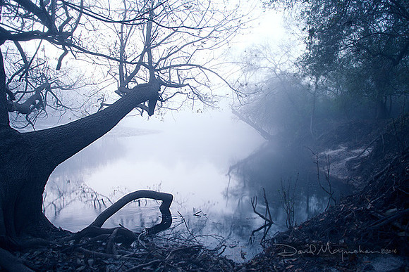 Silhouette_in_Mist