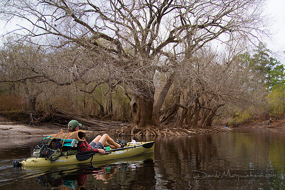 Jacques_Paddling_Tupelos