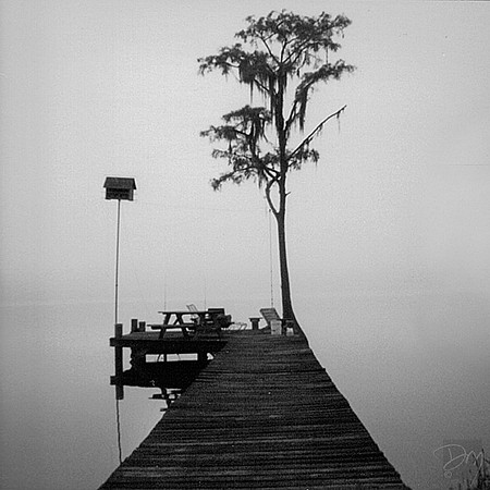 Dock in Fog