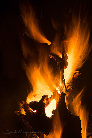 Fire