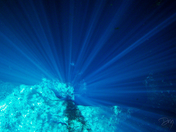 The Deep