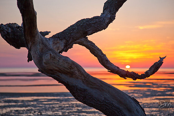 Mashes Sands Sunrise