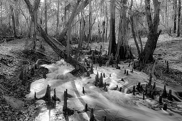 Roline_Creek_Raging