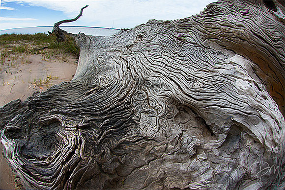 Weathered