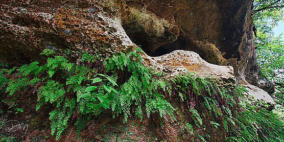 Maidenhair Cave