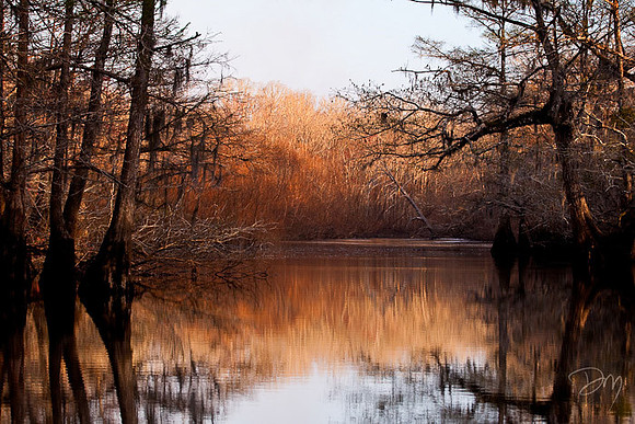 Choctawhatchee River Vista
