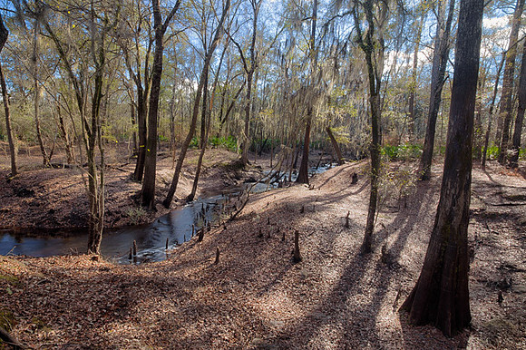 Roline_Creek