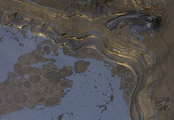 Primordeal Ooze