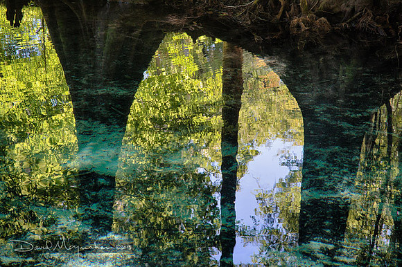 Reflected Arch