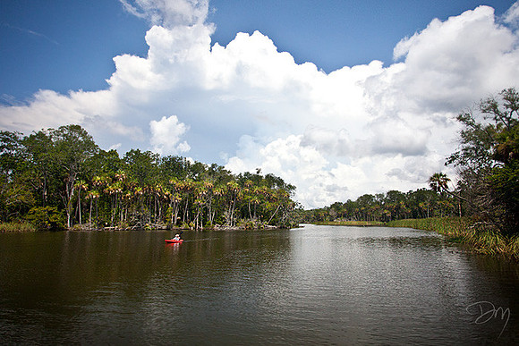 Chassahowitzka