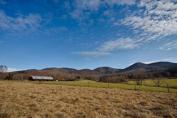 Farm--9