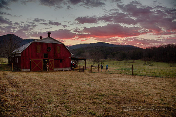 Farm--4