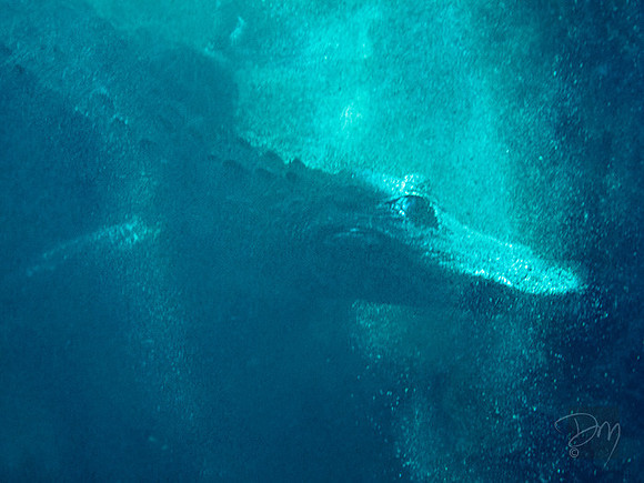 Denizen_of_Deep