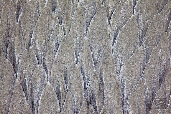 Fishscale Sands