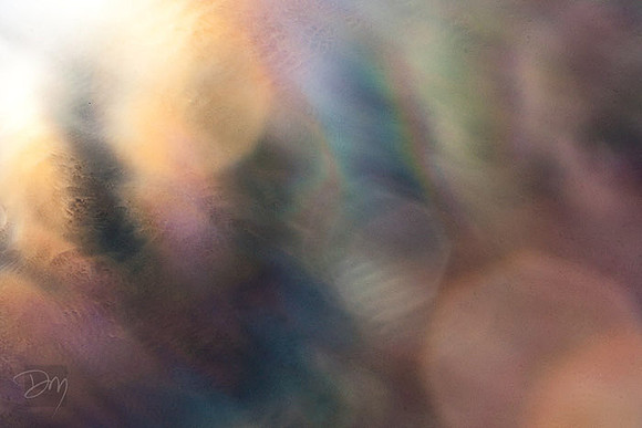 Rainbow Parheilion