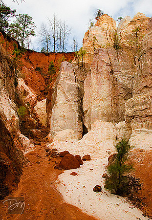 Providence Canyon