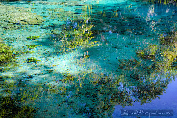 Mirage in Spring
