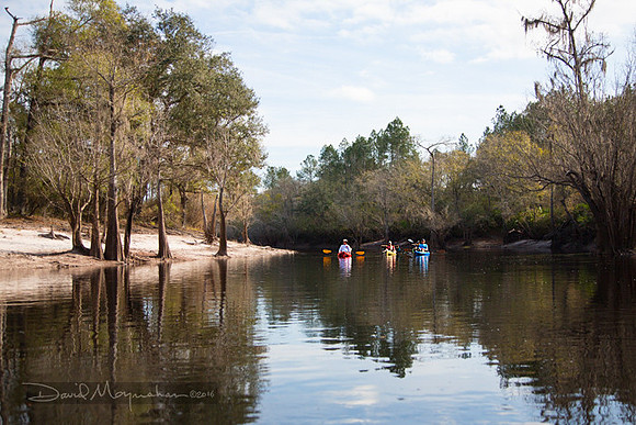 USR_Paddlers
