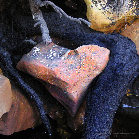 Limestone Heart
