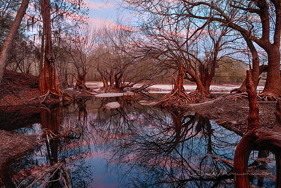 Rose_Lit_Creek