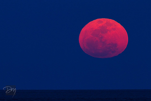 Ovoid Moon
